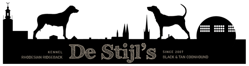 De-Stiljs-logo